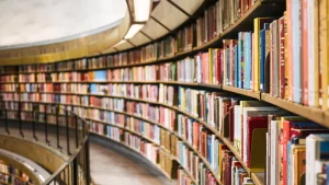 Veröffentlichte Bücher über Tian Xian