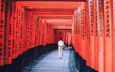 Leberkrebs: Drei Jahre rückfallfrei mit 78 Jahren (Japan)